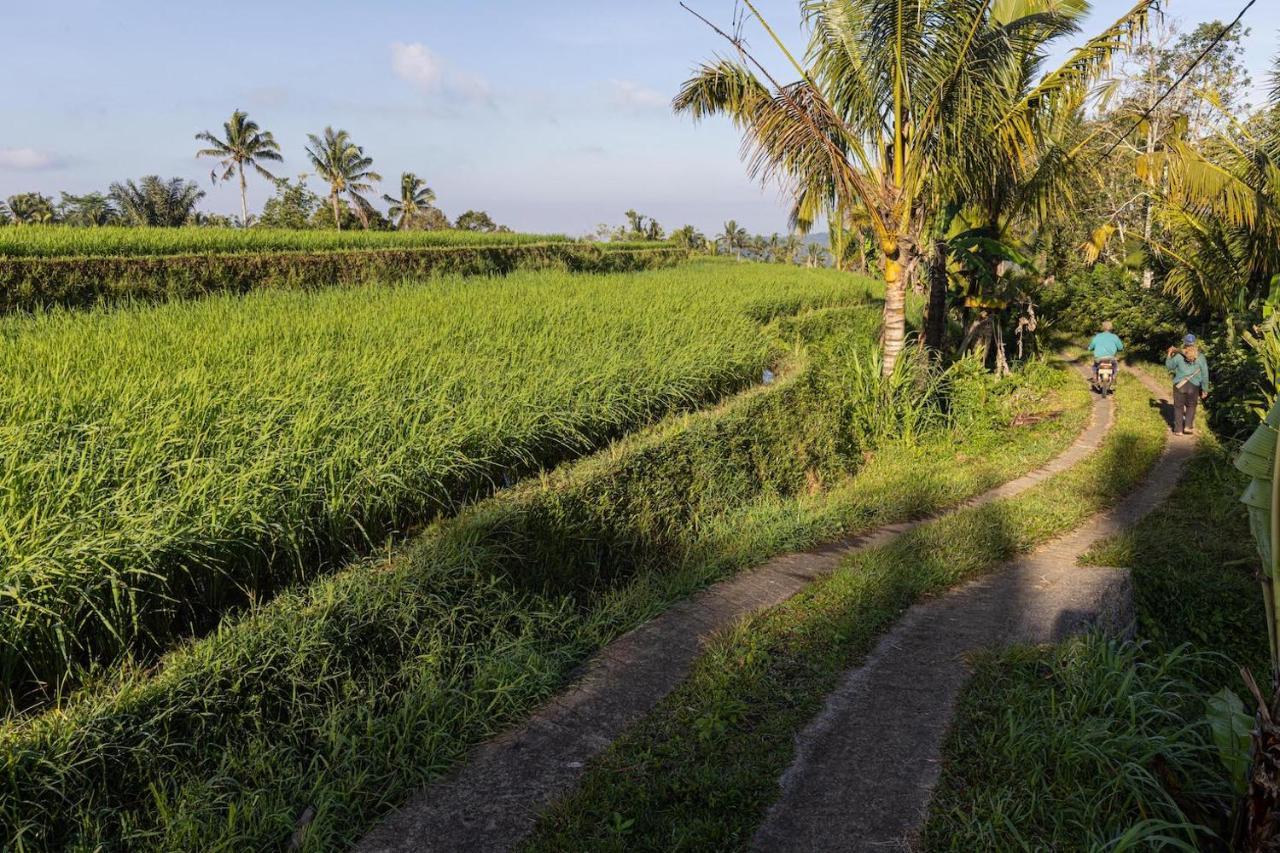 Sanda Plantation Hideaway Buitenkant foto